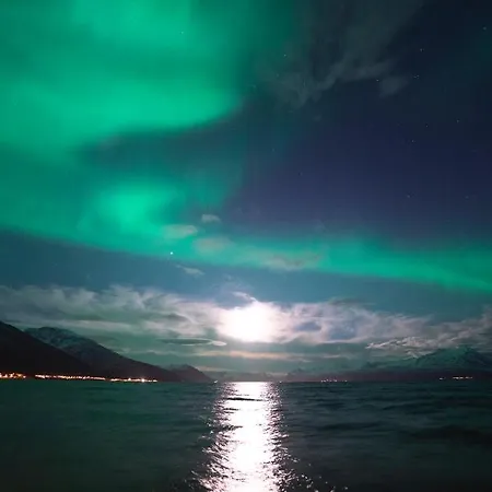 Aurora View