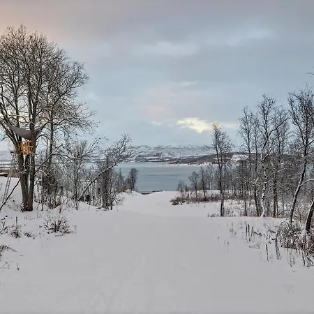 فيلة Aurora View