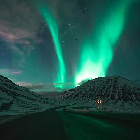 فيلة Aurora View ترومسو