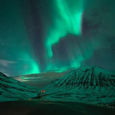 Aurora View فيلة
