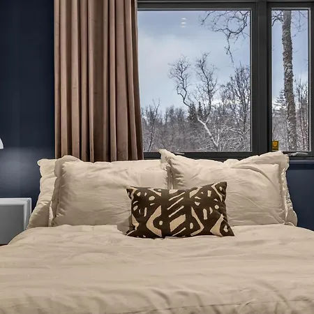 Aurora View