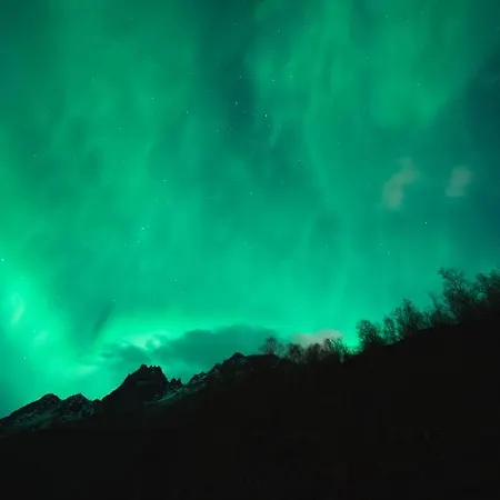 فيلة Aurora View ترومسو