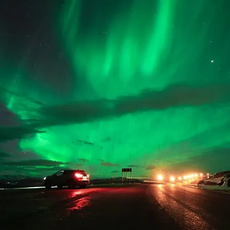 Aurora View فيلة