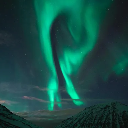 فيلة Aurora View *